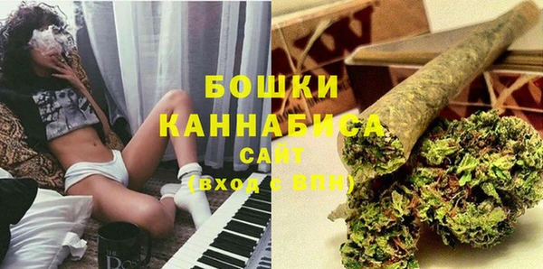 индика Семикаракорск
