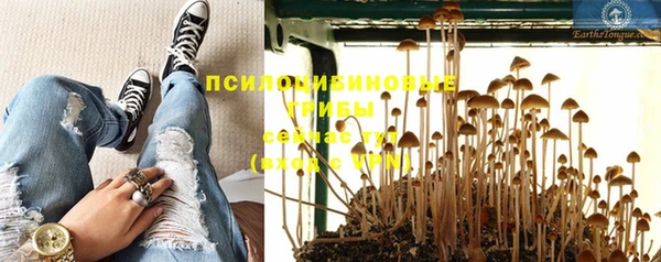 прущие крисы Абдулино